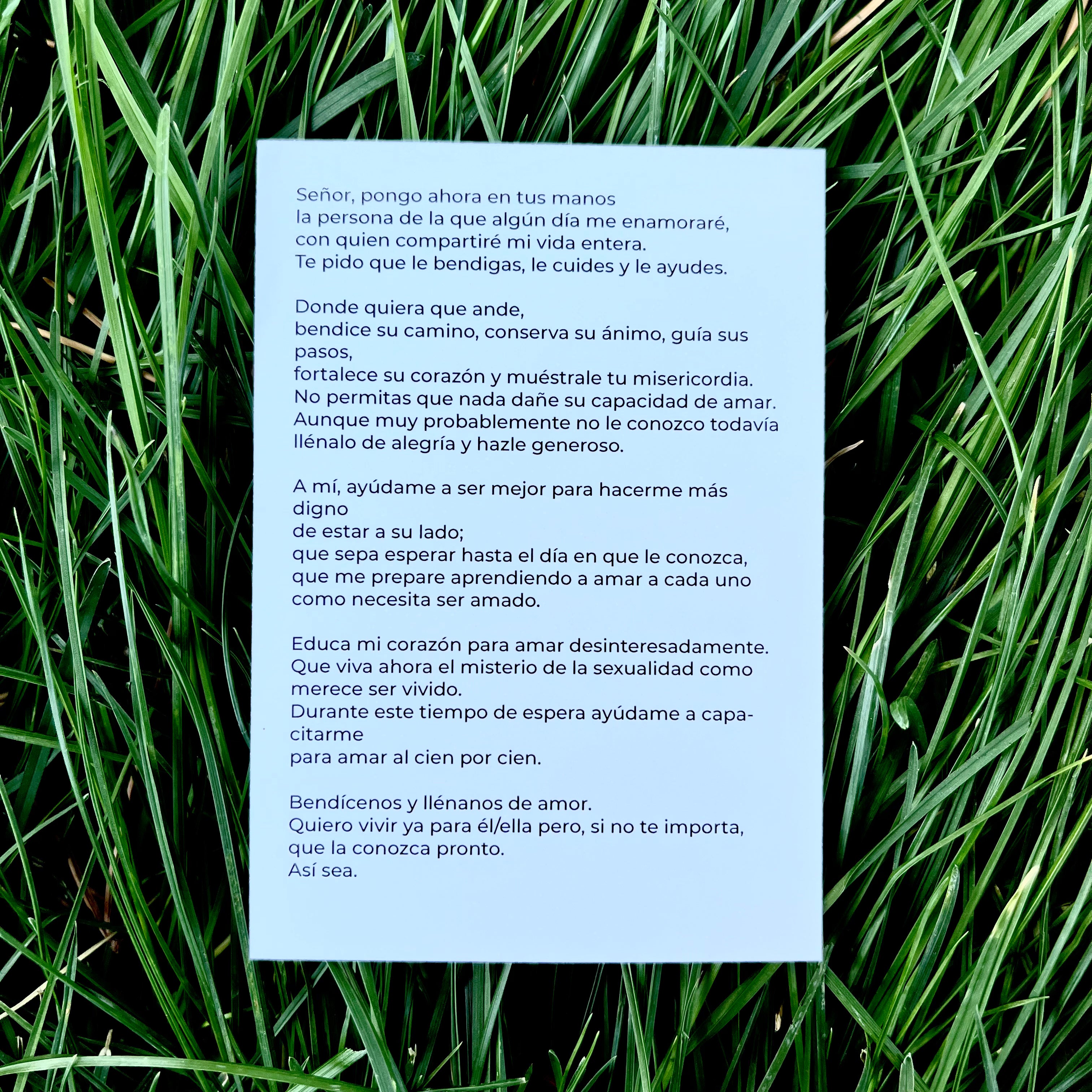 Oración de los solteros (pack de 10)