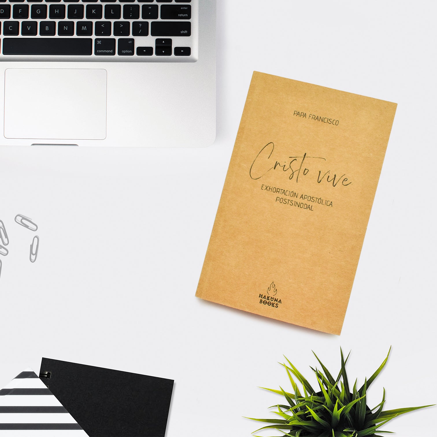 Cristo vive: Exhortación apostólica postsinodal